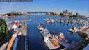 ./images/victoria/wharf/20260623/wharf20260623_085001M.jpg