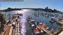 ./images/victoria/wharf/20260624/wharf20260624_173501M.jpg