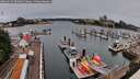 ./images/victoria/wharf/20260625/wharf20260625_094001M.jpg