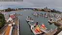 ./images/victoria/wharf/20260625/wharf20260625_101501M.jpg