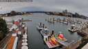 ./images/victoria/wharf/20260625/wharf20260625_111001M.jpg