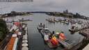 ./images/victoria/wharf/20260625/wharf20260625_173002M.jpg