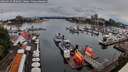 ./images/victoria/wharf/20260625/wharf20260625_200001M.jpg