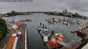./images/victoria/wharf/20260626/wharf20260626_095001M.jpg