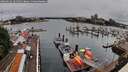 ./images/victoria/wharf/20260626/wharf20260626_101502M.jpg