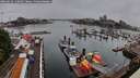 ./images/victoria/wharf/20260626/wharf20260626_110002M.jpg