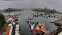 ./images/victoria/wharf/20260626/wharf20260626_111501M.jpg