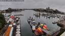 ./images/victoria/wharf/20260626/wharf20260626_115002M.jpg