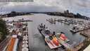 ./images/victoria/wharf/20260626/wharf20260626_161501M.jpg