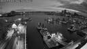 ./images/victoria/wharf/20260627/wharf20260627_044001M.jpg