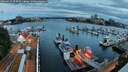 ./images/victoria/wharf/20260627/wharf20260627_050501M.jpg