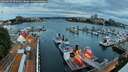 ./images/victoria/wharf/20260627/wharf20260627_051001M.jpg