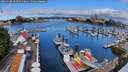 ./images/victoria/wharf/20260628/wharf20260628_102501M.jpg