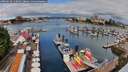 ./images/victoria/wharf/20260628/wharf20260628_110501M.jpg