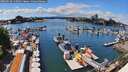 ./images/victoria/wharf/20260628/wharf20260628_145001M.jpg