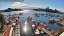 ./images/victoria/wharf/20260628/wharf20260628_175501M.jpg