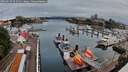 ./images/victoria/wharf/20260629/wharf20260629_053501M.jpg