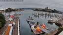 ./images/victoria/wharf/20260629/wharf20260629_063001M.jpg