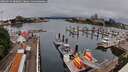 ./images/victoria/wharf/20260629/wharf20260629_085001M.jpg