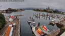 ./images/victoria/wharf/20260629/wharf20260629_085501M.jpg