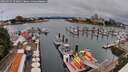 ./images/victoria/wharf/20260629/wharf20260629_104001M.jpg