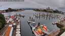 ./images/victoria/wharf/20260629/wharf20260629_105001M.jpg
