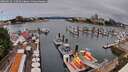 ./images/victoria/wharf/20260629/wharf20260629_110501M.jpg