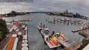 ./images/victoria/wharf/20260629/wharf20260629_161001M.jpg
