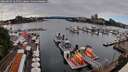 ./images/victoria/wharf/20260629/wharf20260629_165501M.jpg