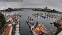 ./images/victoria/wharf/20260630/wharf20260630_115001M.jpg