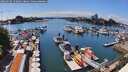 ./images/victoria/wharf/20260630/wharf20260630_152001M.jpg