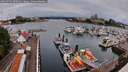 ./images/victoria/wharf/20260702/wharf20260702_090501M.jpg