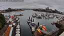 ./images/victoria/wharf/20260702/wharf20260702_110501M.jpg