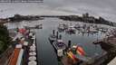 ./images/victoria/wharf/20260702/wharf20260702_111001M.jpg
