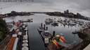 ./images/victoria/wharf/20260702/wharf20260702_111501M.jpg