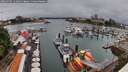 ./images/victoria/wharf/20260702/wharf20260702_121001M.jpg