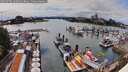 ./images/victoria/wharf/20260703/wharf20260703_150501M.jpg