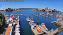 ./images/victoria/wharf/20260705/wharf20260705_112501M.jpg