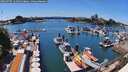 ./images/victoria/wharf/20260705/wharf20260705_144501M.jpg