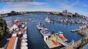 ./images/victoria/wharf/20260707/wharf20260707_110501M.jpg