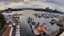 ./images/victoria/wharf/20260707/wharf20260707_170001M.jpg