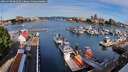 ./images/victoria/wharf/20260708/wharf20260708_082501M.jpg