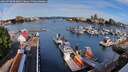 ./images/victoria/wharf/20260708/wharf20260708_083001M.jpg