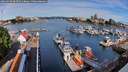 ./images/victoria/wharf/20260708/wharf20260708_083501M.jpg