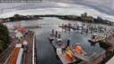 ./images/victoria/wharf/20260710/wharf20260710_081001M.jpg