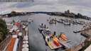 ./images/victoria/wharf/20260711/wharf20260711_151001M.jpg
