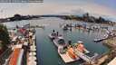 ./images/victoria/wharf/20260712/wharf20260712_150501M.jpg