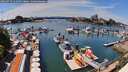 ./images/victoria/wharf/20260713/wharf20260713_141001M.jpg