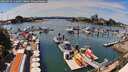 ./images/victoria/wharf/20260713/wharf20260713_142001M.jpg