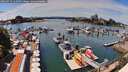 ./images/victoria/wharf/20260713/wharf20260713_142501M.jpg